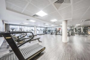 image 16